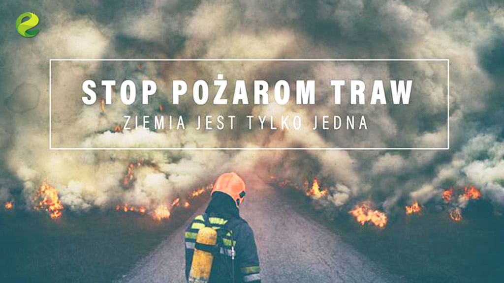 Strażacy edukują dzieci i młodzież