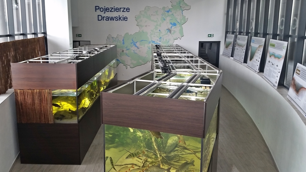 Sala akwarystyczna - już wkrótce