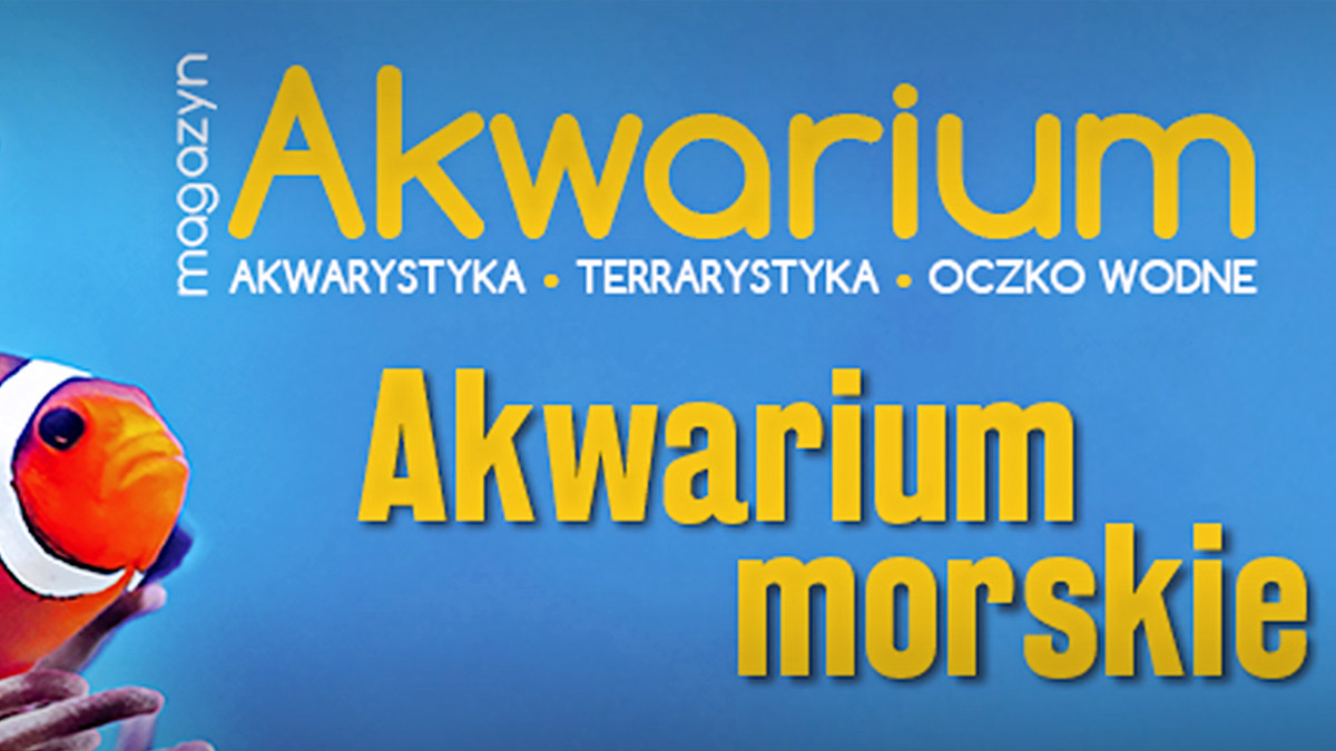 Magazyn Akwarium partnerem CEEiRJ