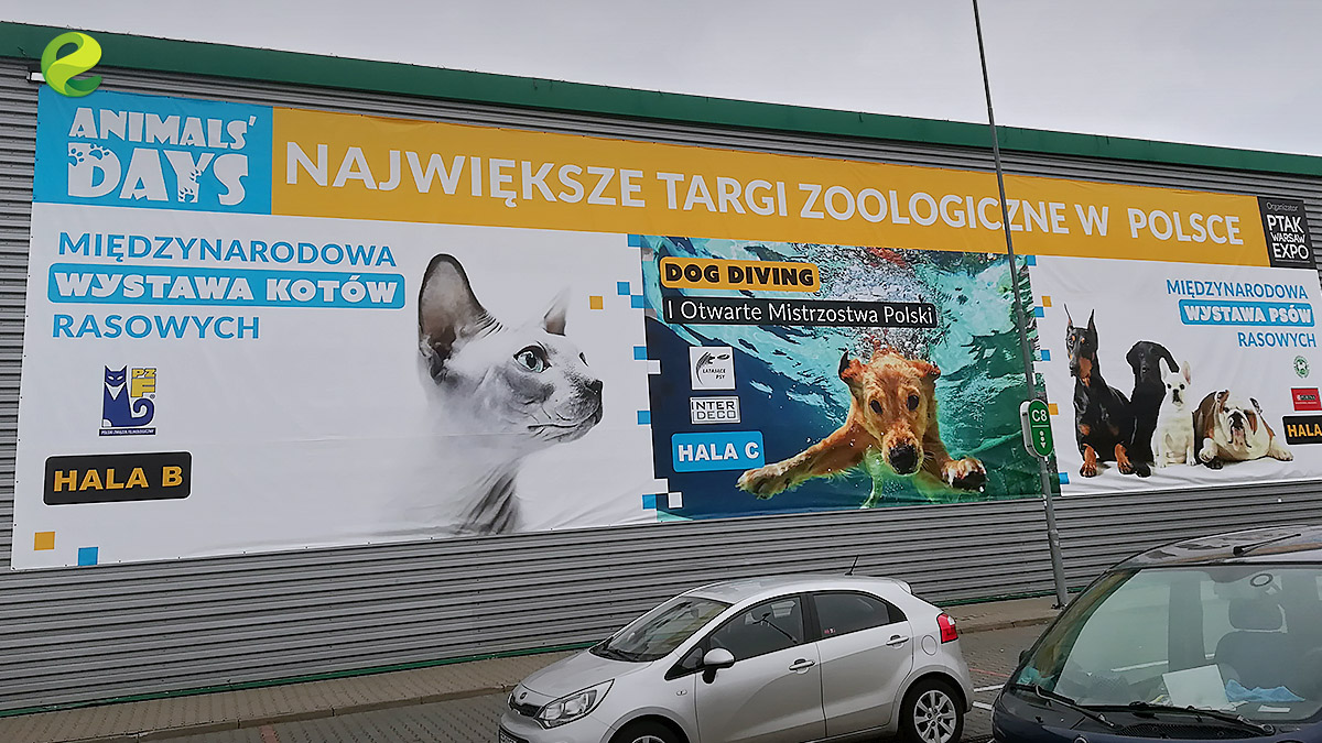Animals Days 2019