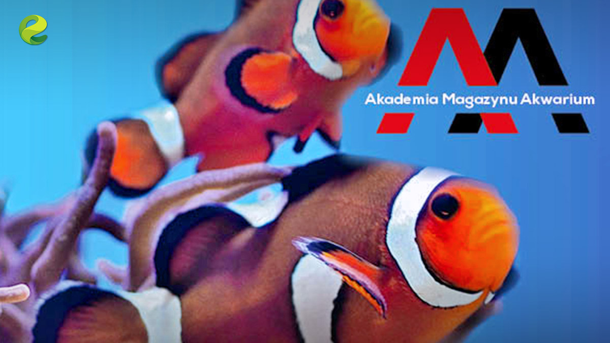 CEEIRJ na Animals Days 2019