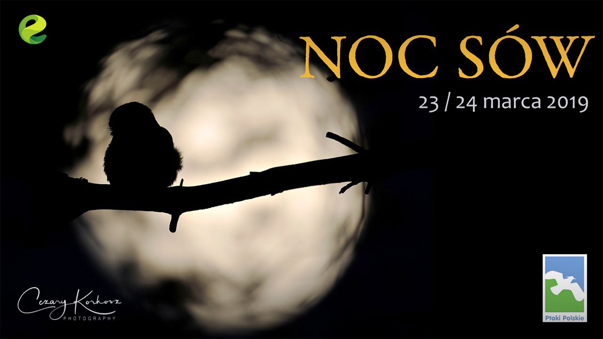 Noc sów – ostatnie miejsca