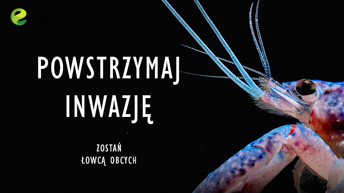 CEEIR wśród 