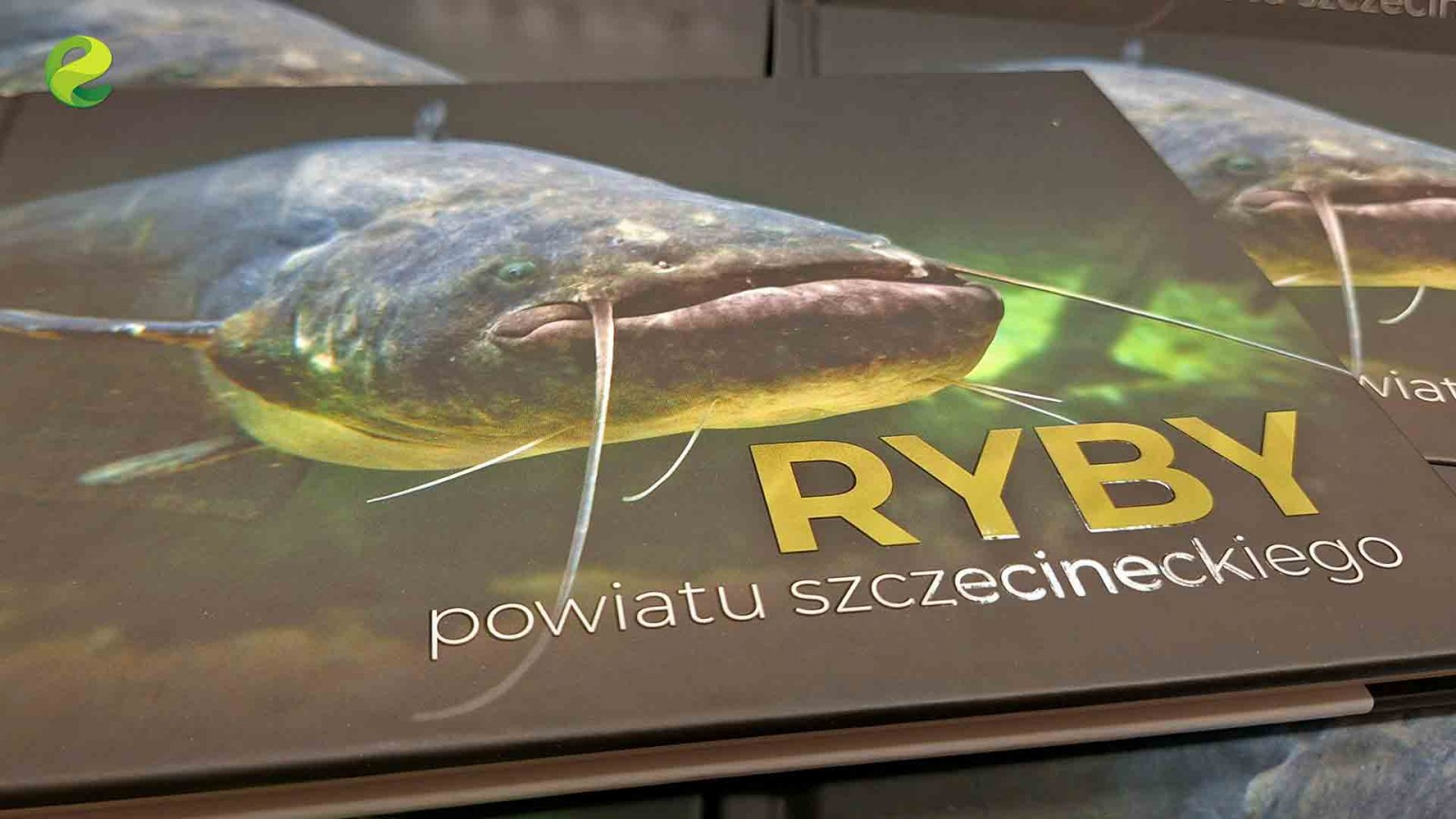 Szczecineckie ryby - album
